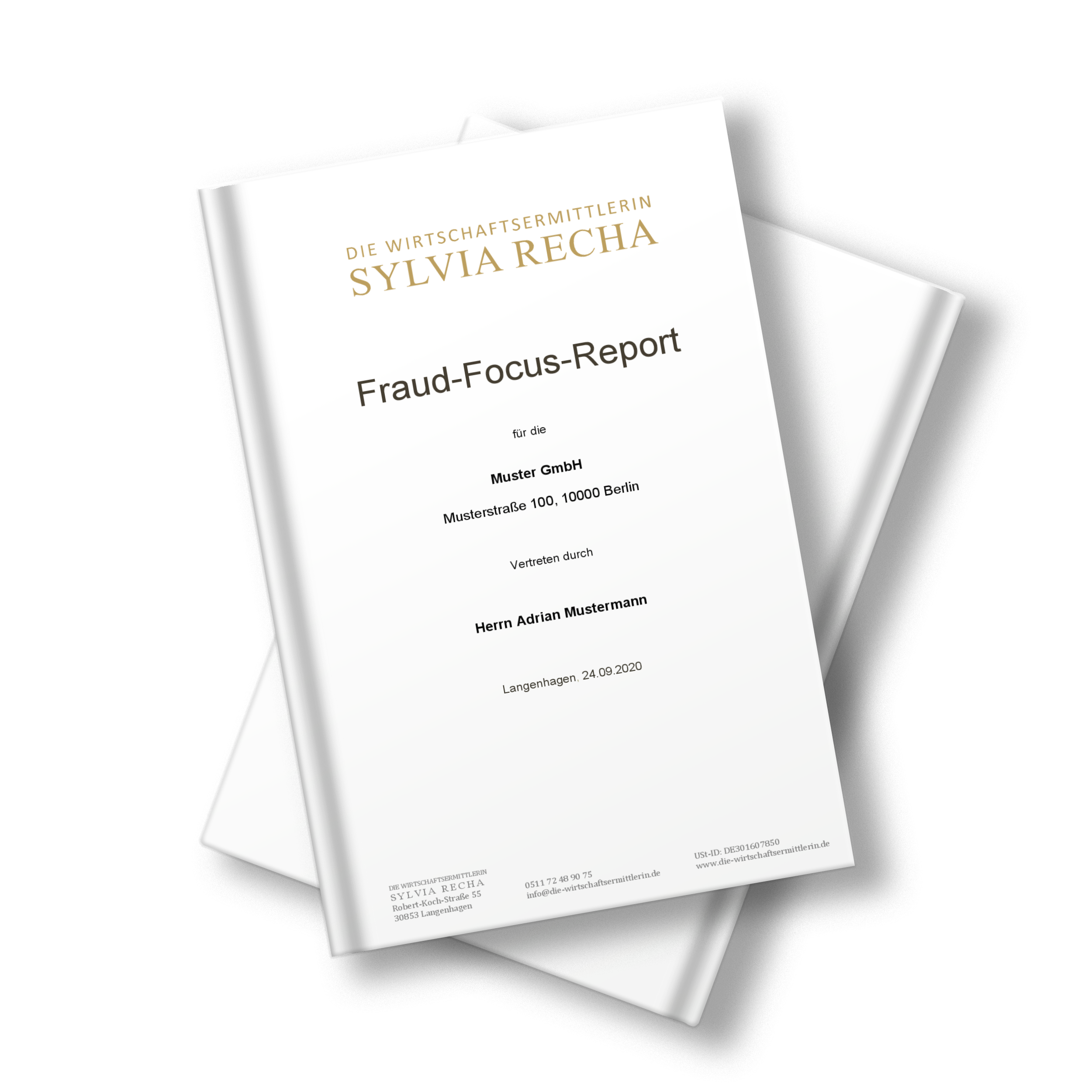Fraud-Focus-Report
